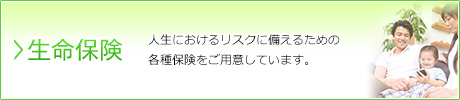 生命保険…人生におけるリスクに備えるための各種保険をご用意しています。